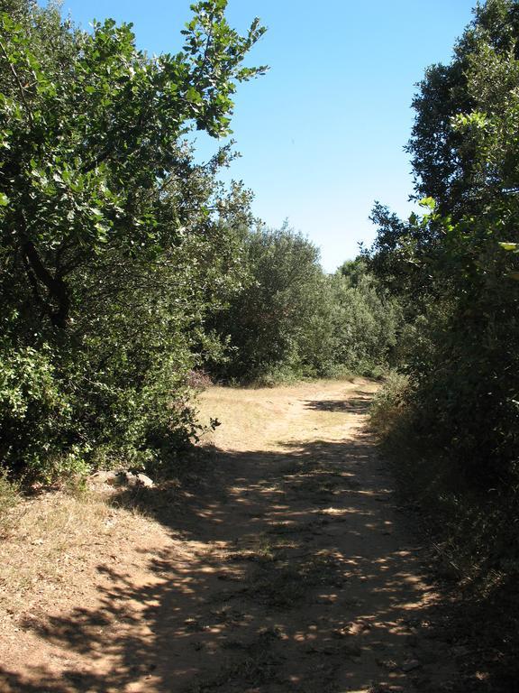 לינה וארוחת בוקר Pougnadoresse Esprit Garrigues D'Uzes מראה חיצוני תמונה